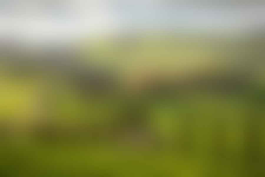 Aerial view of the picturesque Tuscan landscape with rolling hills and vineyards